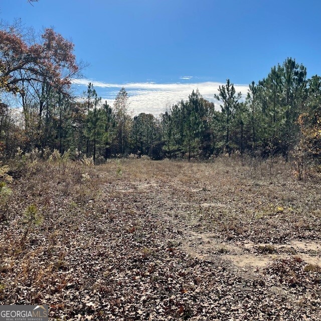 Lot A Pineville Road Buena Vista GA 31803