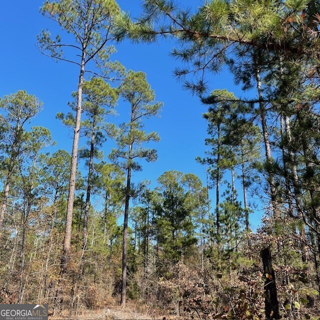 Lot A Pineville Road Buena Vista GA 31803