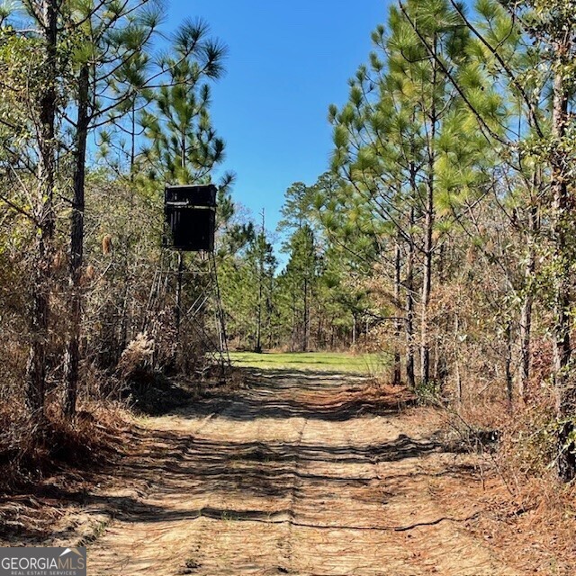 Lot A Pineville Road Buena Vista GA 31803