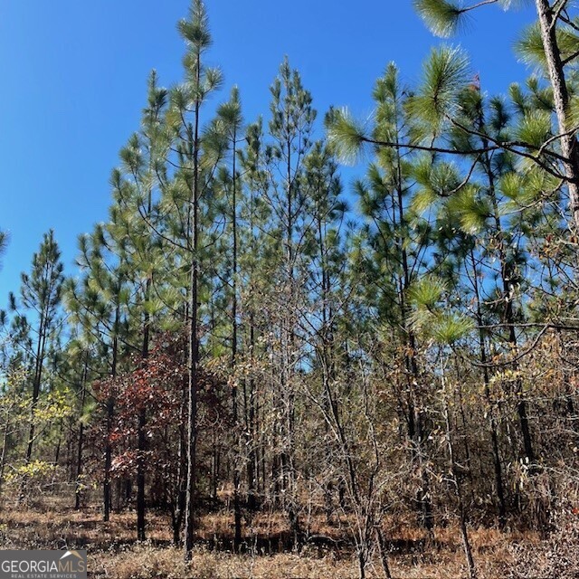 Lot A Pineville Road Buena Vista GA 31803