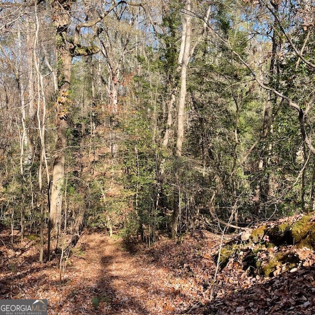 Lot A Pineville Road Buena Vista GA 31803