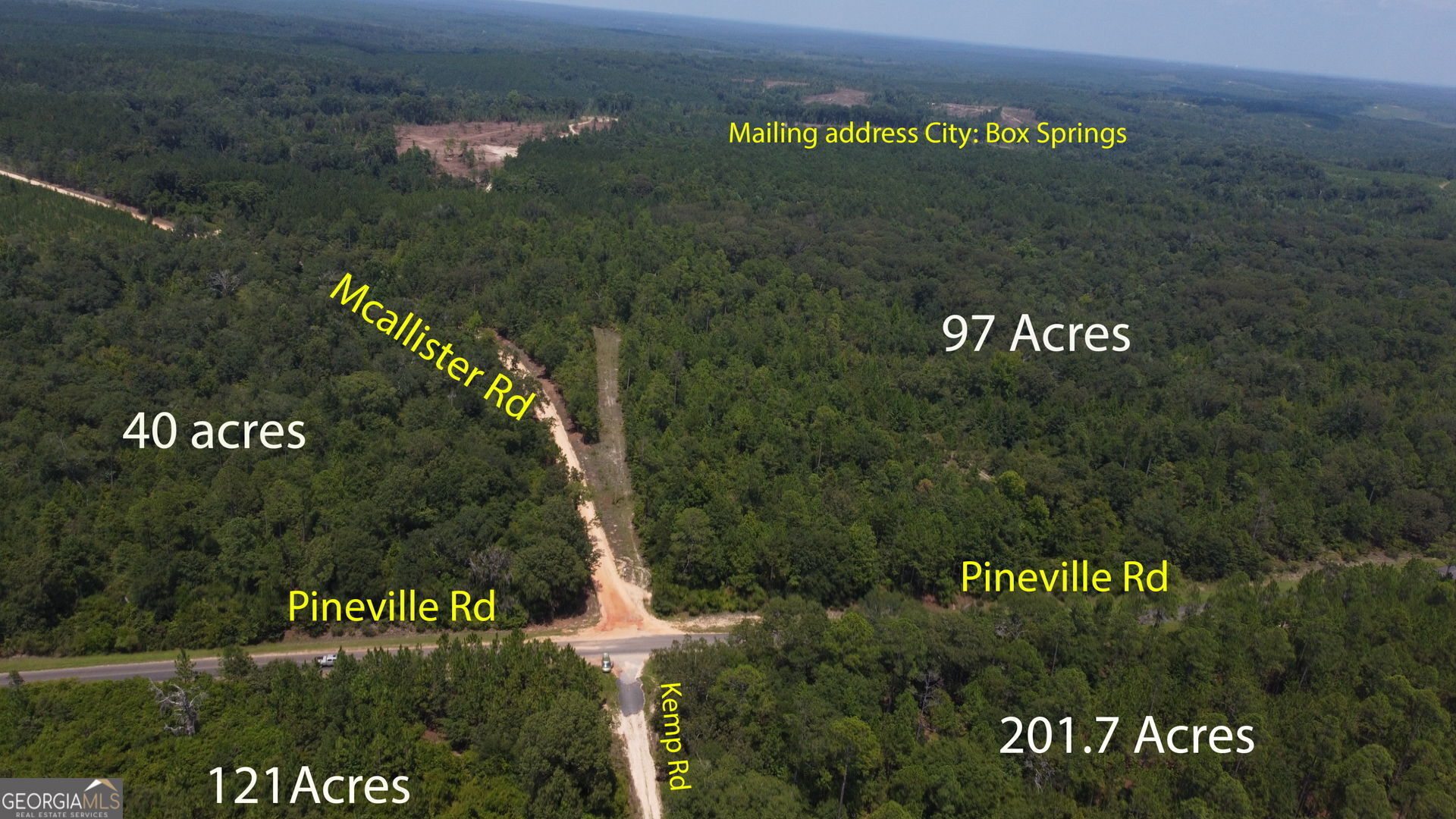 Lot A Pineville Road Buena Vista GA 31803