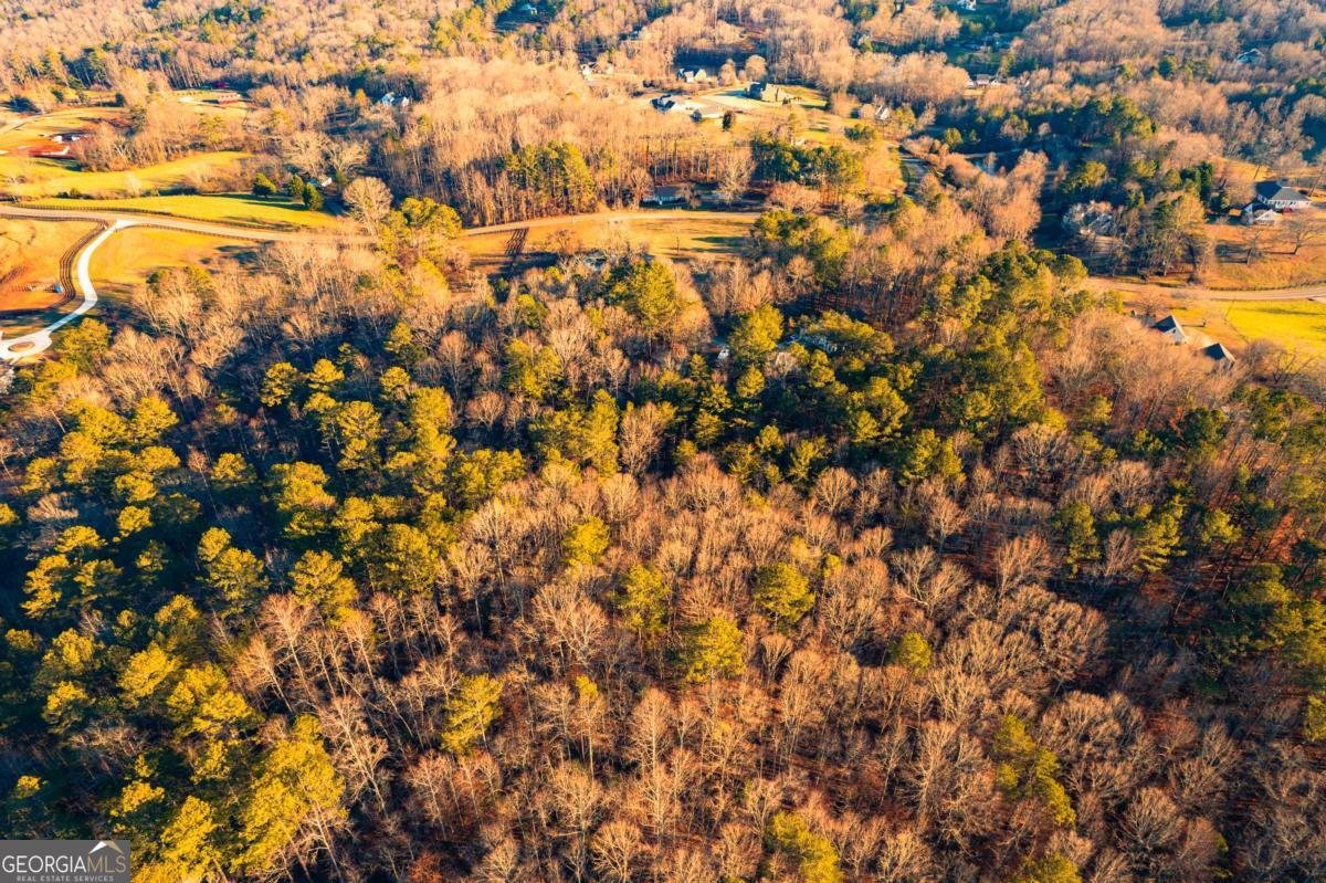 873 Long Road Ball Ground GA 30107