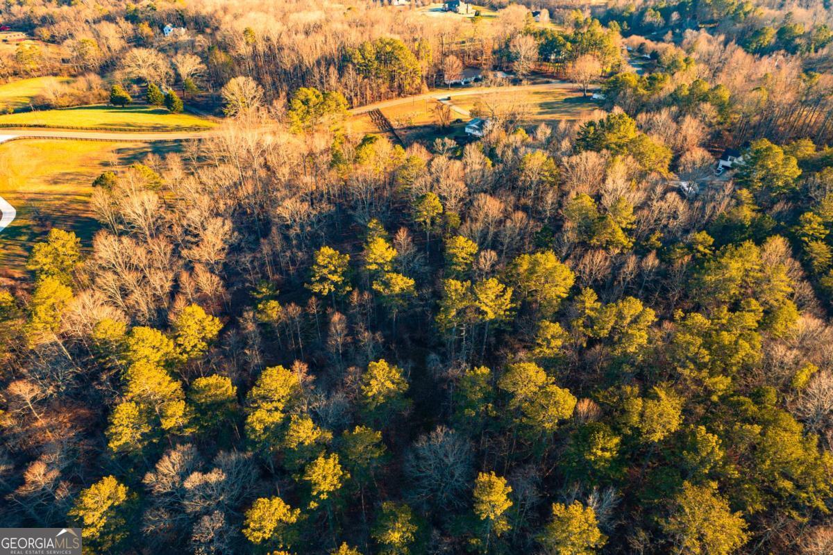 873 Long Road Ball Ground GA 30107
