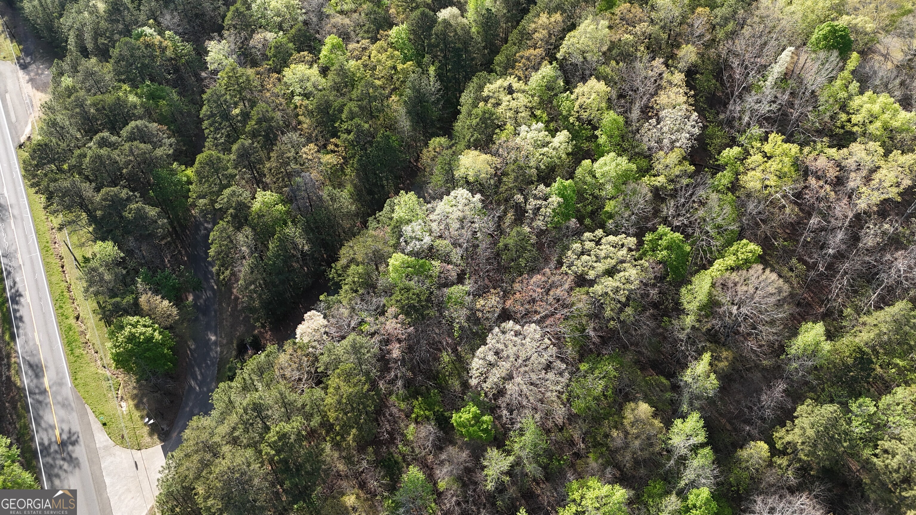 Lot 14 Chalcrest Way Cave Spring GA 30124