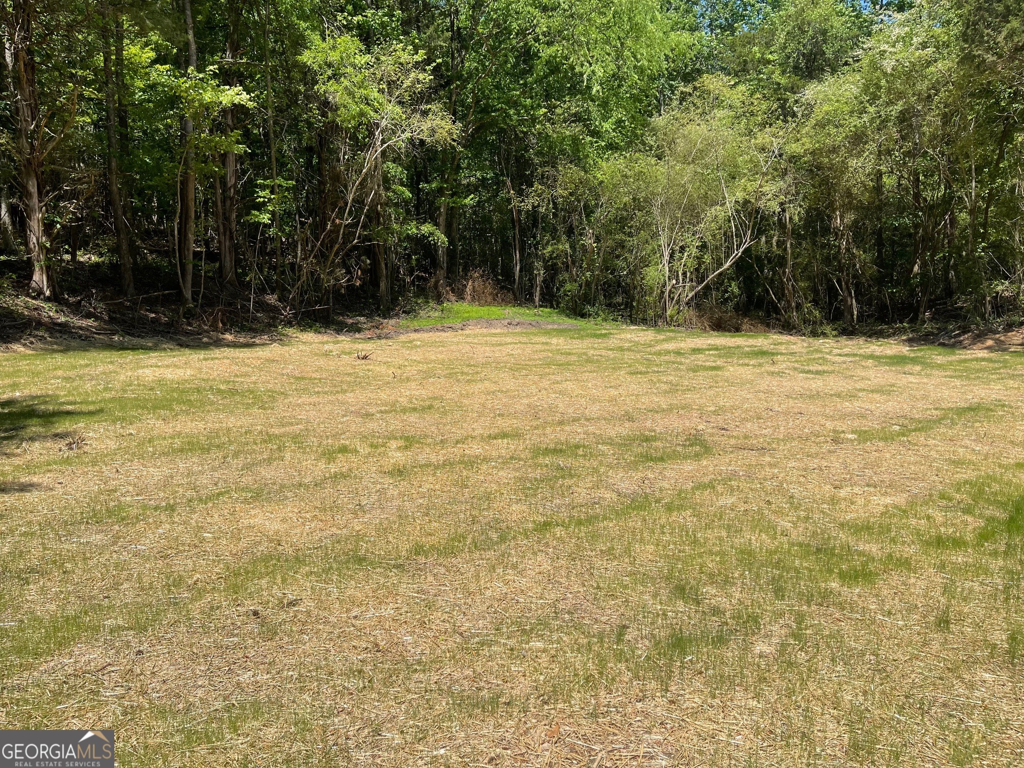 Lot 14 Chalcrest Way Cave Spring GA 30124