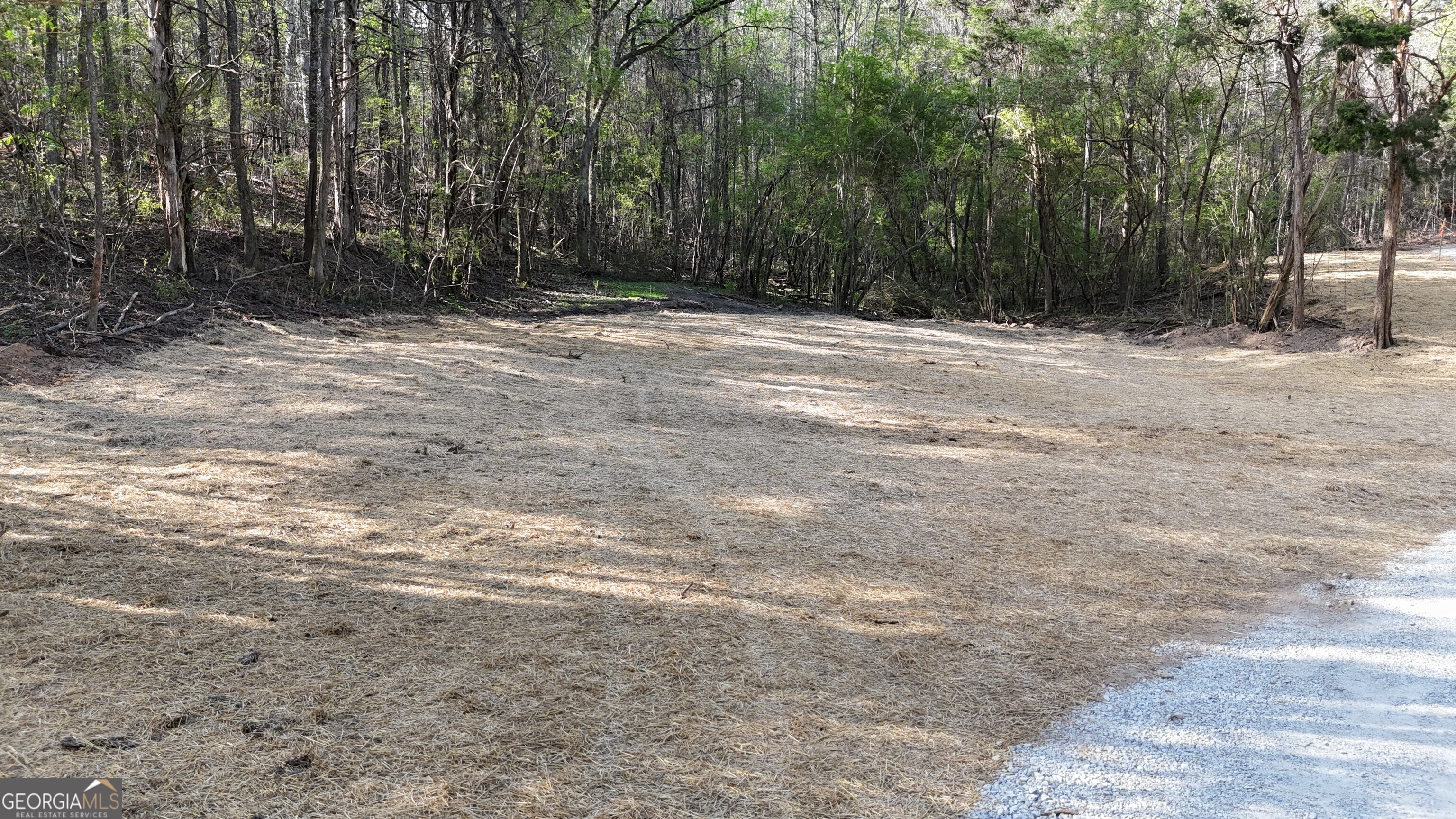 Lot 14 Chalcrest Way Cave Spring GA 30124