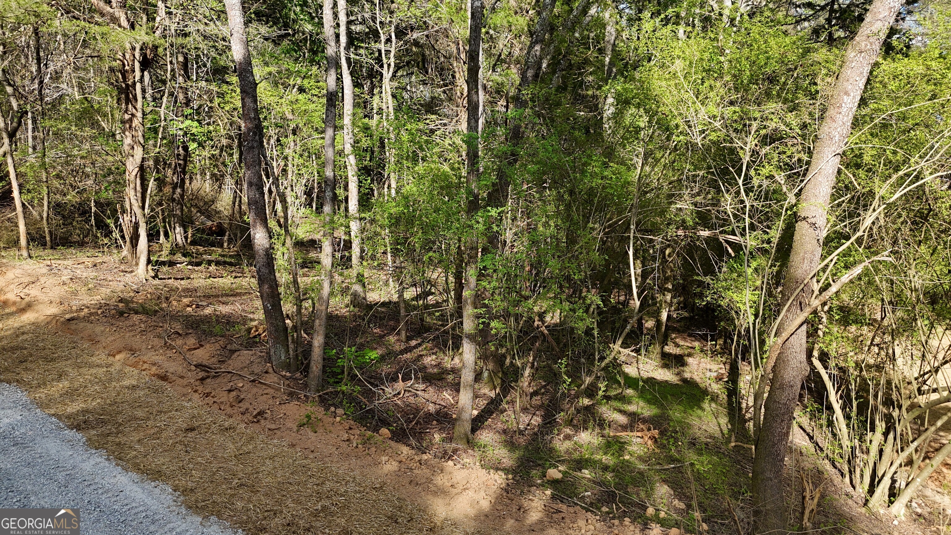 Lot 14 Chalcrest Way Cave Spring GA 30124