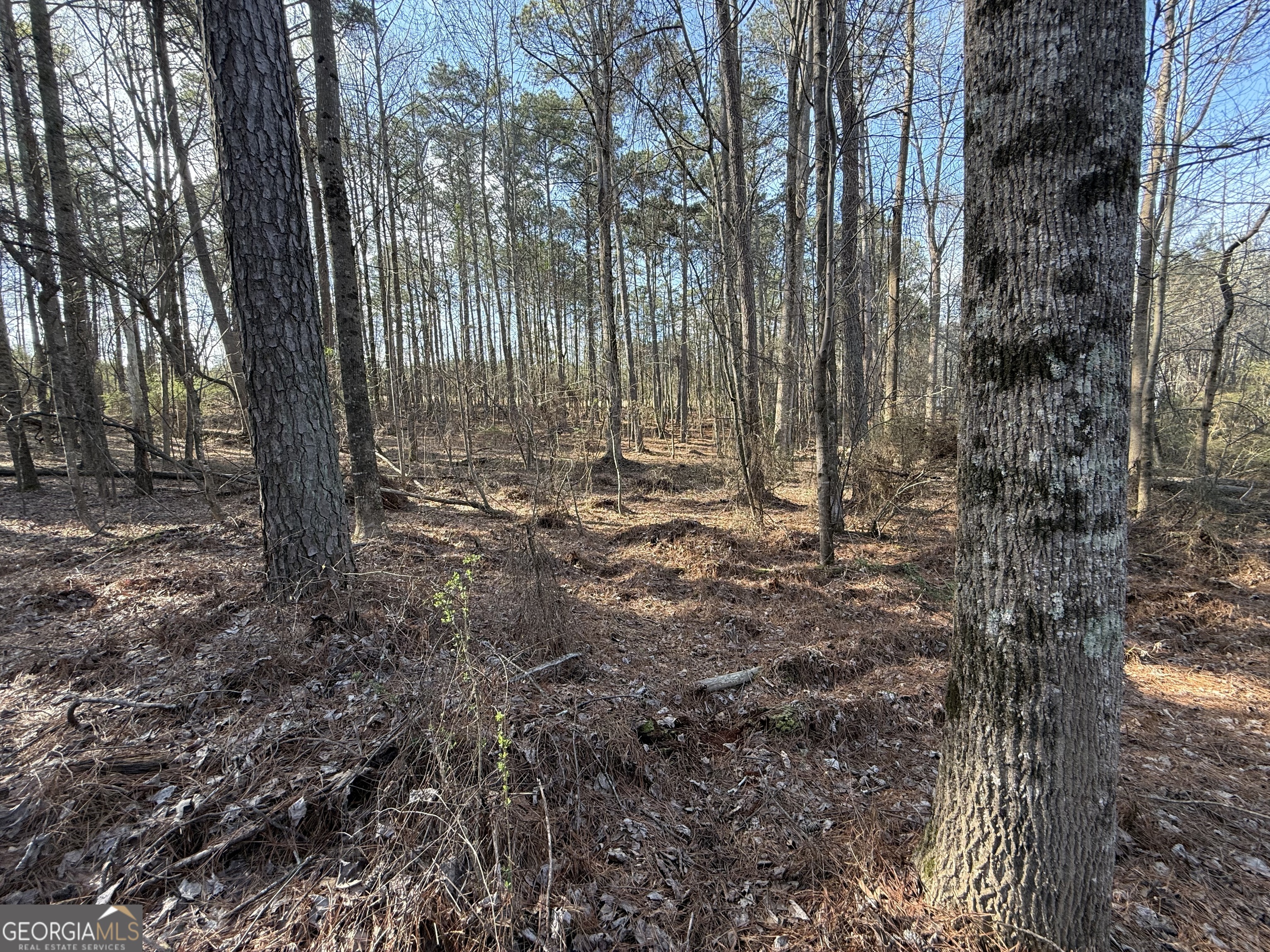 3108 Bold Springs Road Dacula GA 30019