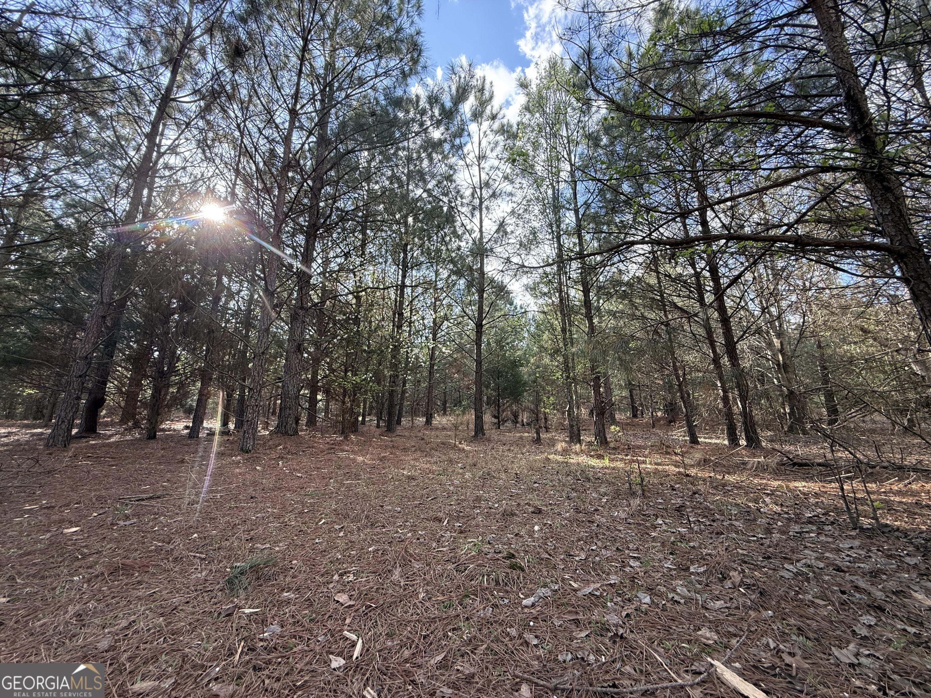 3108 Bold Springs Road Dacula GA 30019