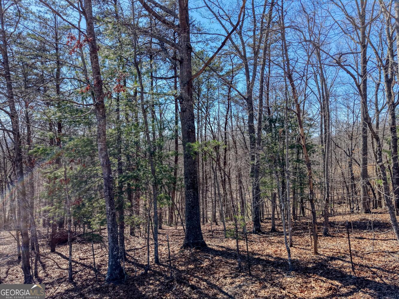 3.46 Acres Smokey Hills Blairsville GA 30512