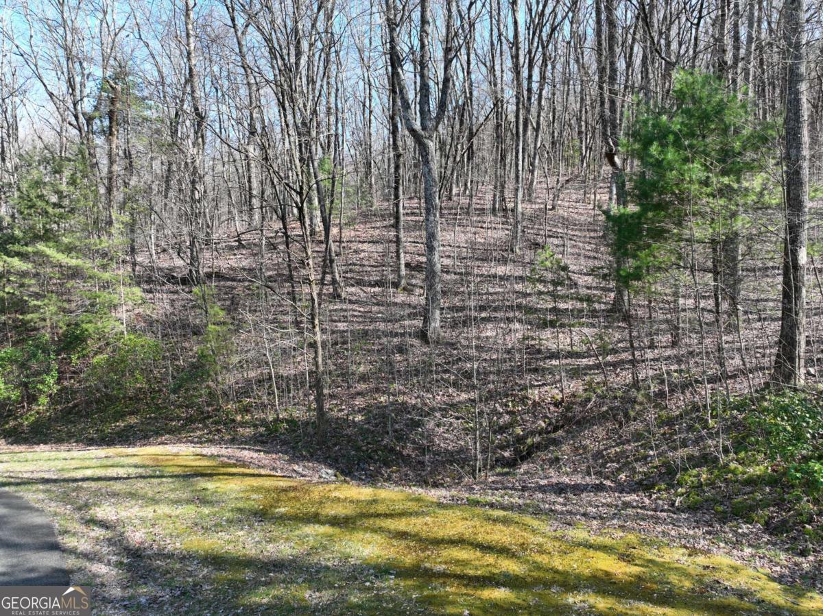 66 Street Andrews Way Ellijay GA 30536