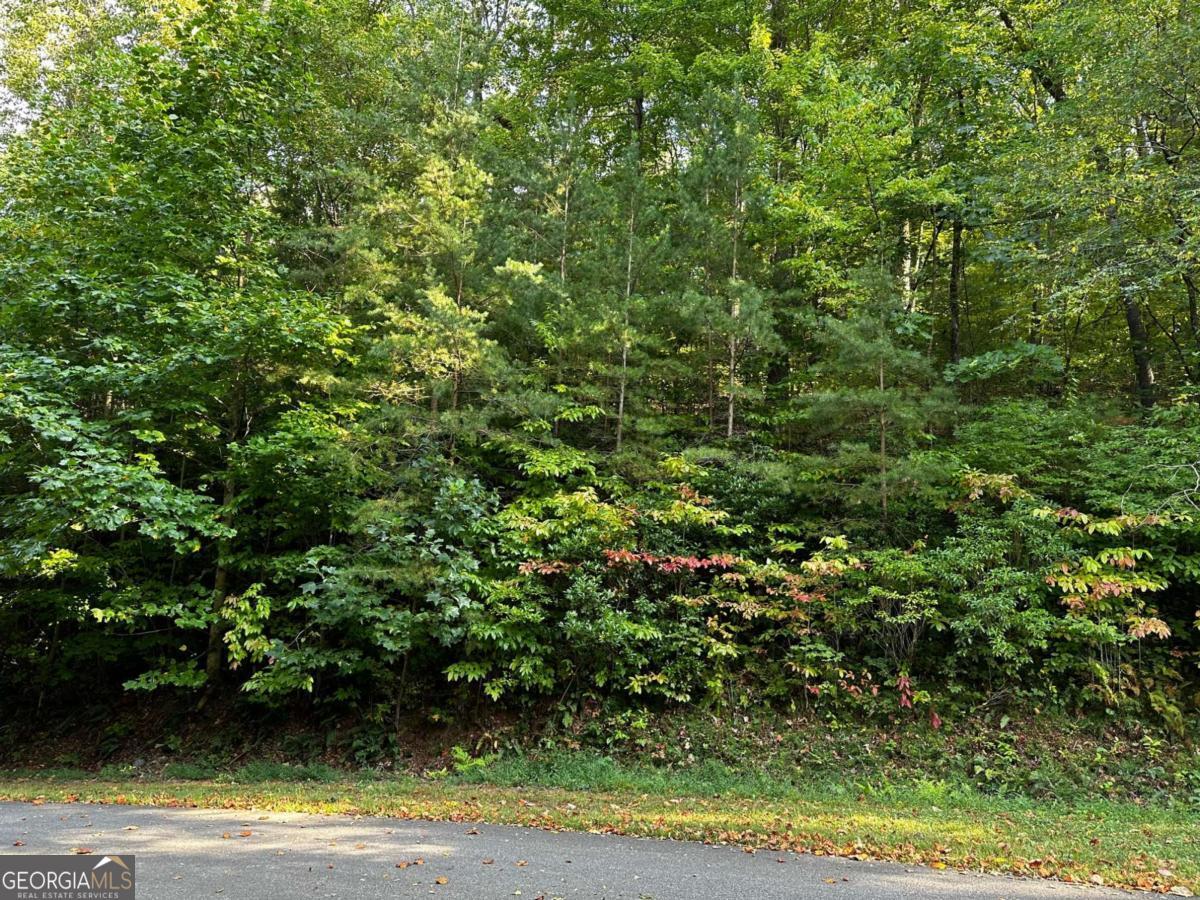66 Street Andrews Way Ellijay GA 30536