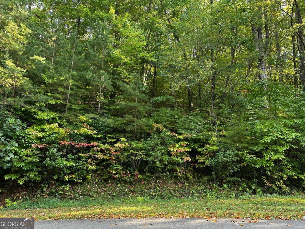 66 Street Andrews Way Ellijay GA 30536