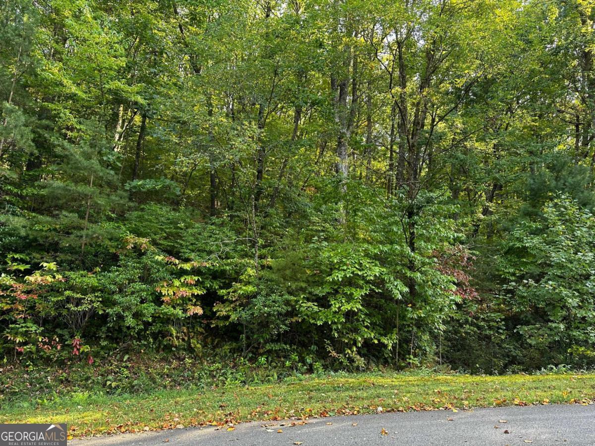 66 Street Andrews Way Ellijay GA 30536