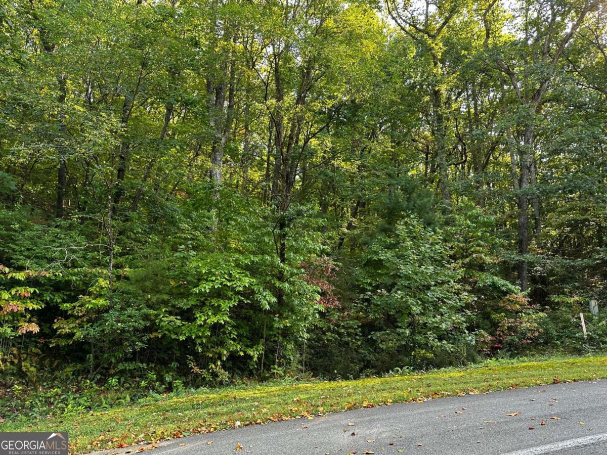 66 Street Andrews Way Ellijay GA 30536