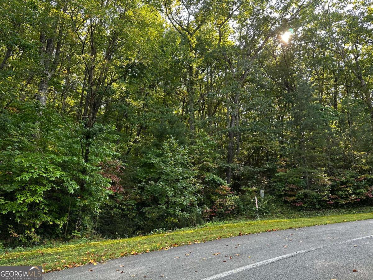 66 Street Andrews Way Ellijay GA 30536