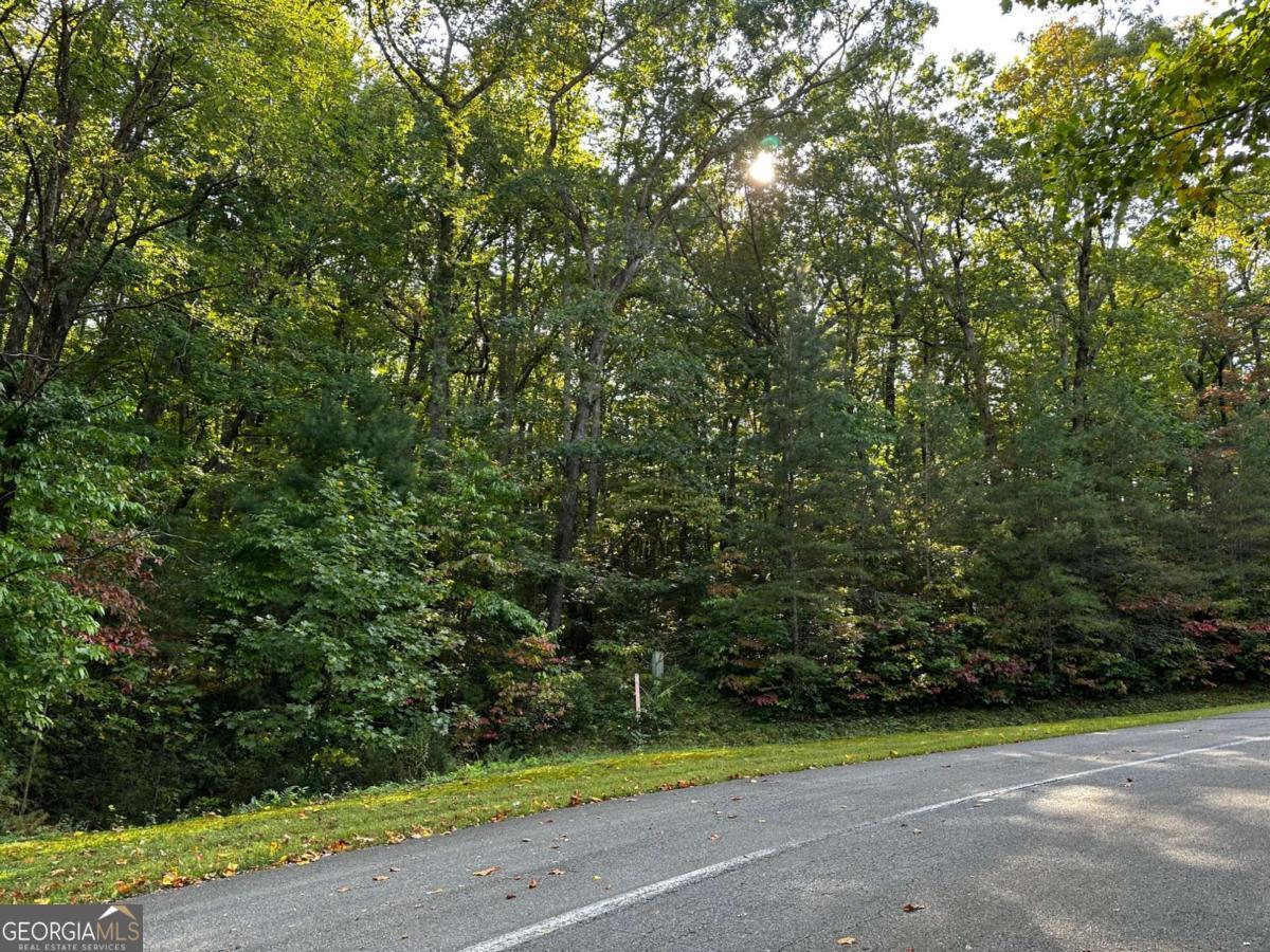 66 Street Andrews Way Ellijay GA 30536