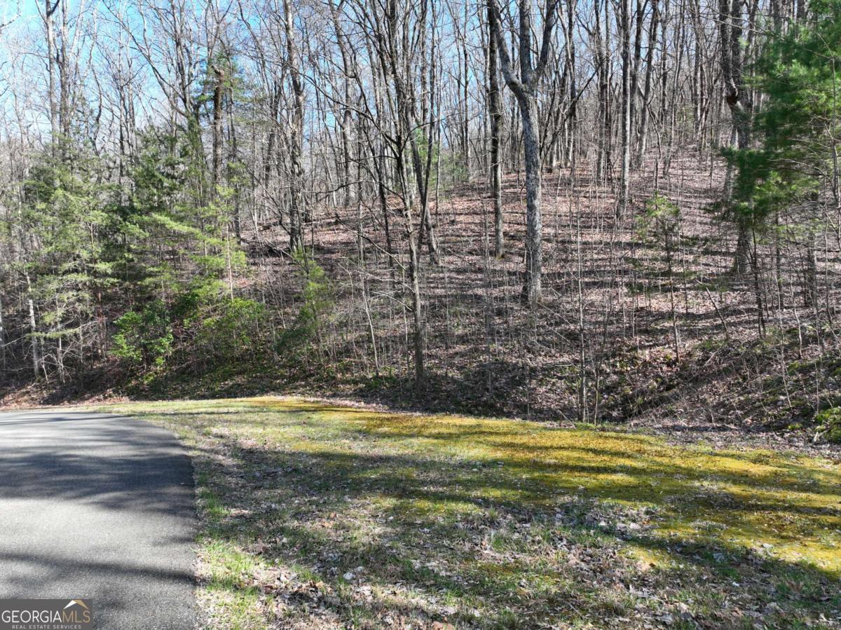 66 Street Andrews Way Ellijay GA 30536