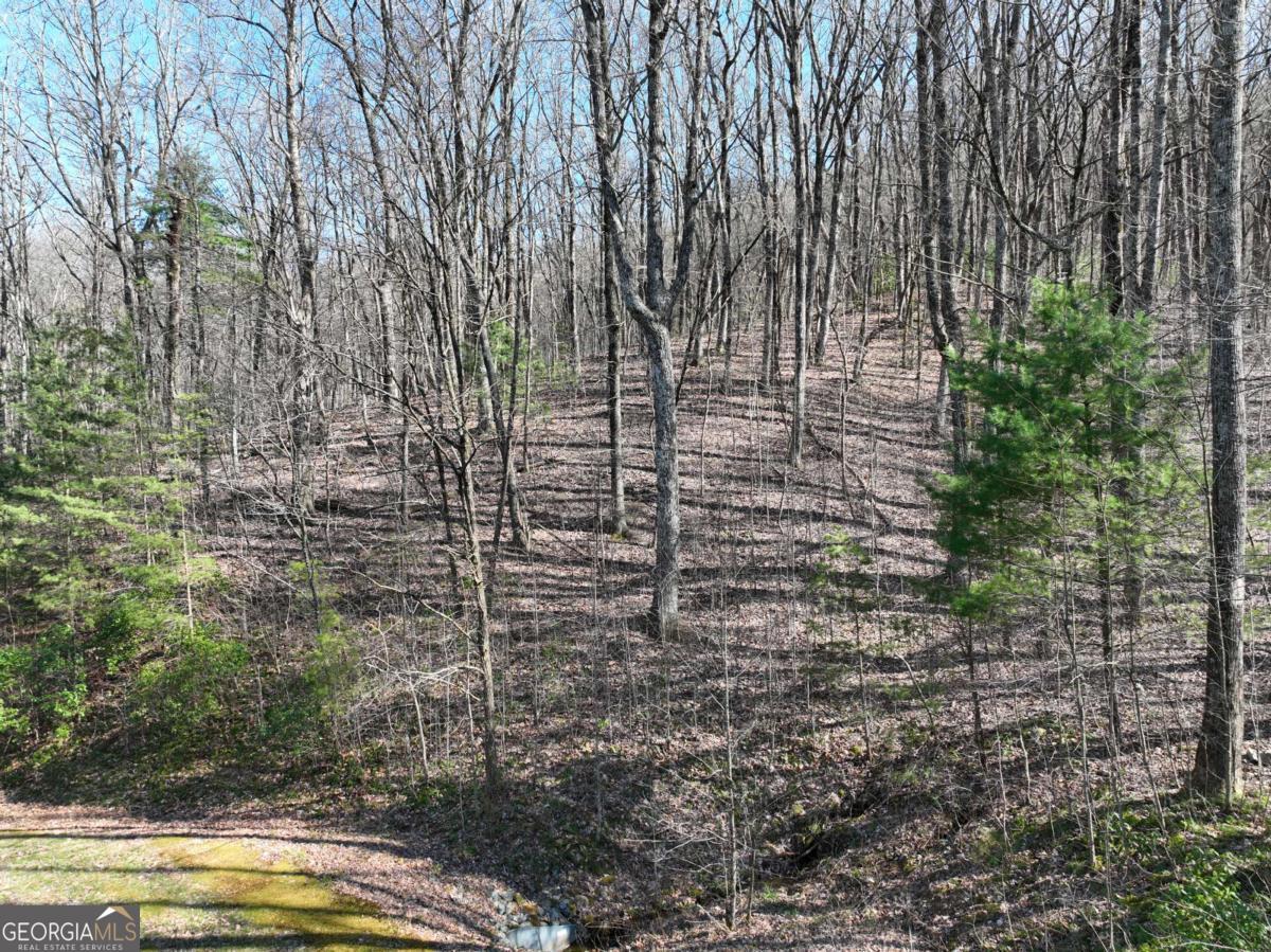 66 Street Andrews Way Ellijay GA 30536