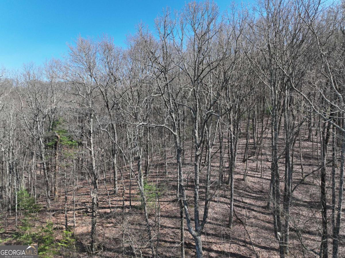 66 Street Andrews Way Ellijay GA 30536