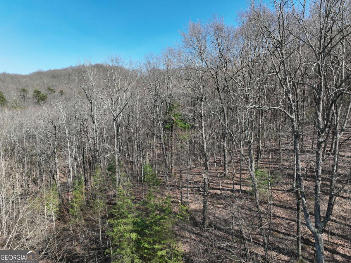 66 Street Andrews Way Ellijay GA 30536