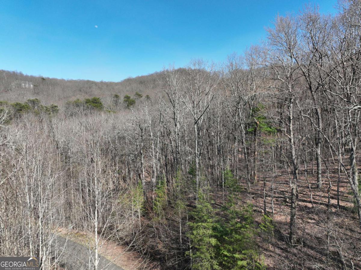 66 Street Andrews Way Ellijay GA 30536