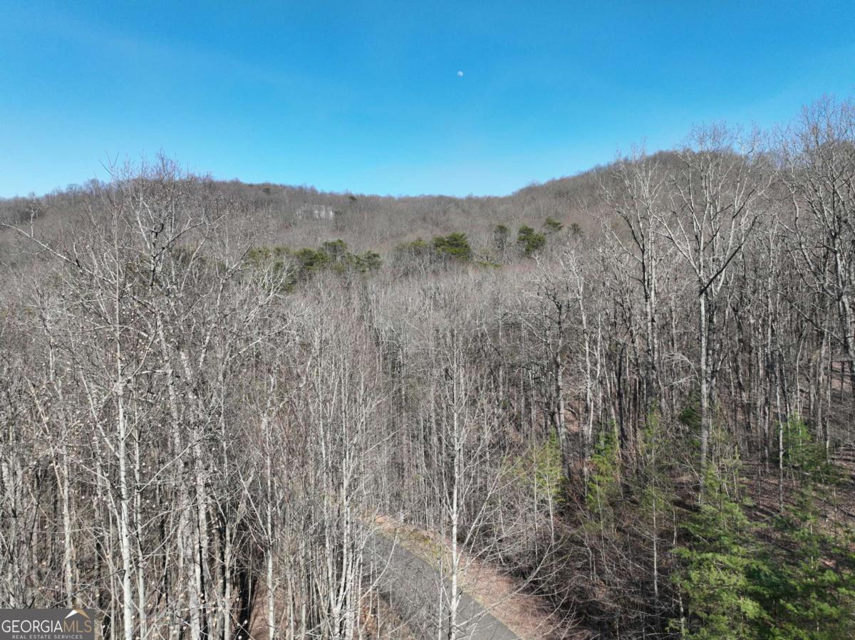66 Street Andrews Way Ellijay GA 30536