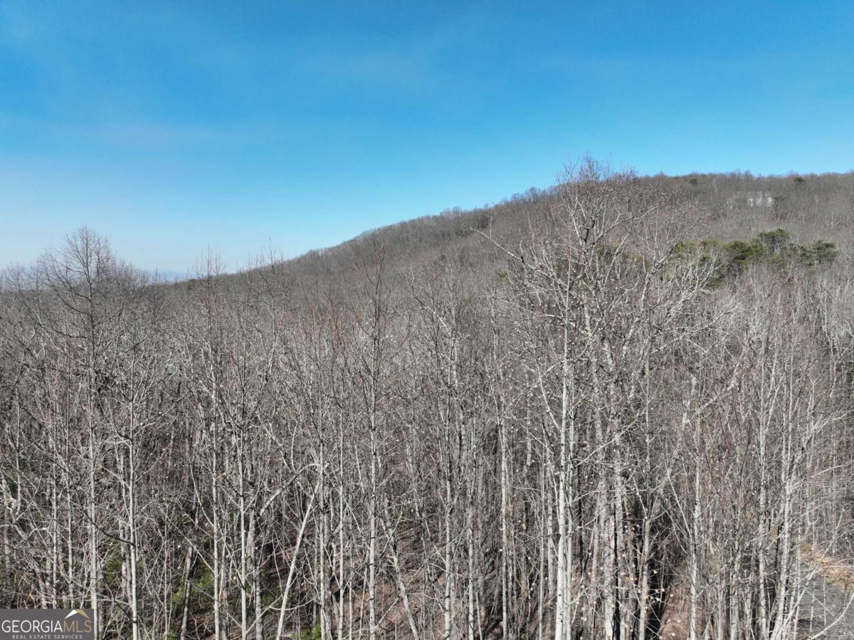 66 Street Andrews Way Ellijay GA 30536