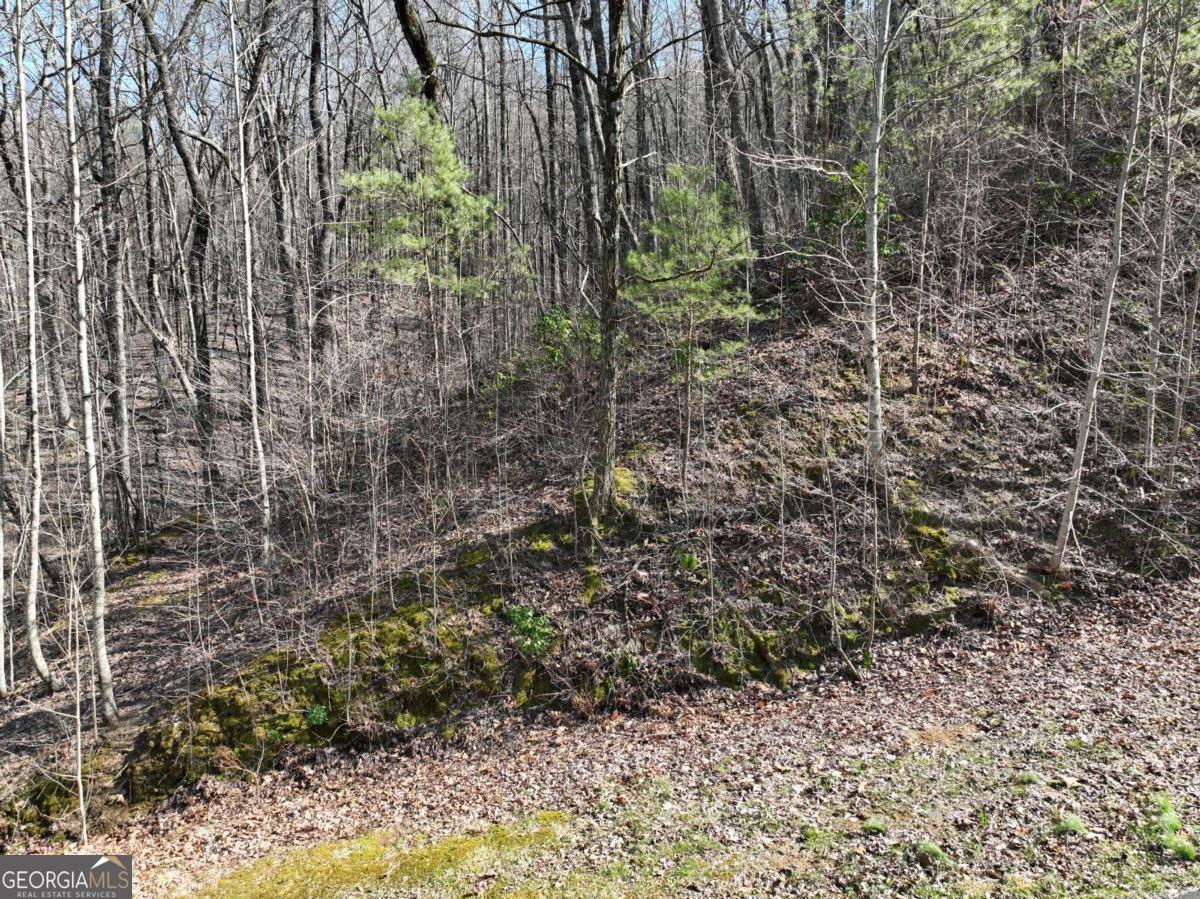 66 Street Andrews Way Ellijay GA 30536