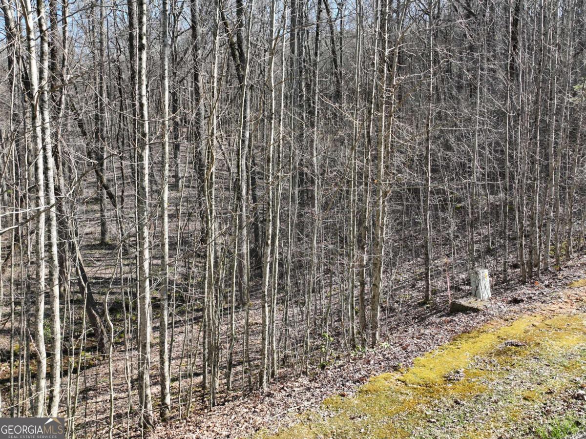 66 Street Andrews Way Ellijay GA 30536