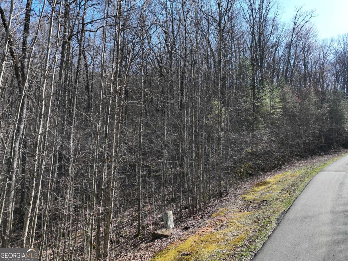 66 Street Andrews Way Ellijay GA 30536