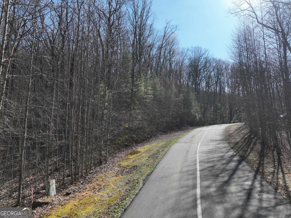 66 Street Andrews Way Ellijay GA 30536