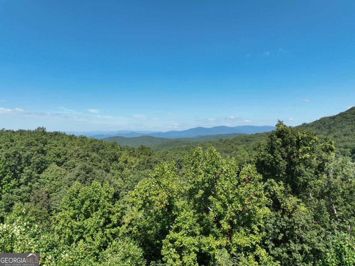 66 Street Andrews Way Ellijay GA 30536