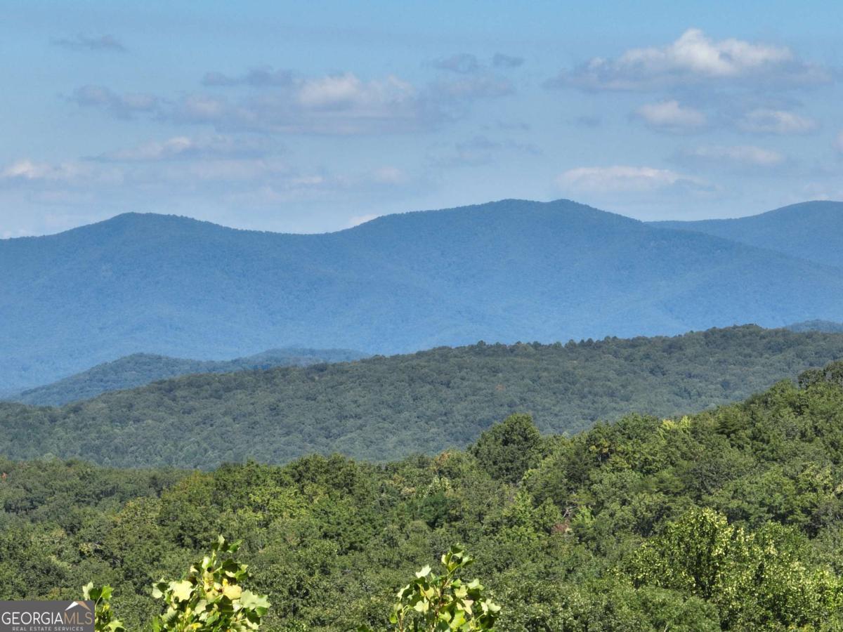 66 Street Andrews Way Ellijay GA 30536