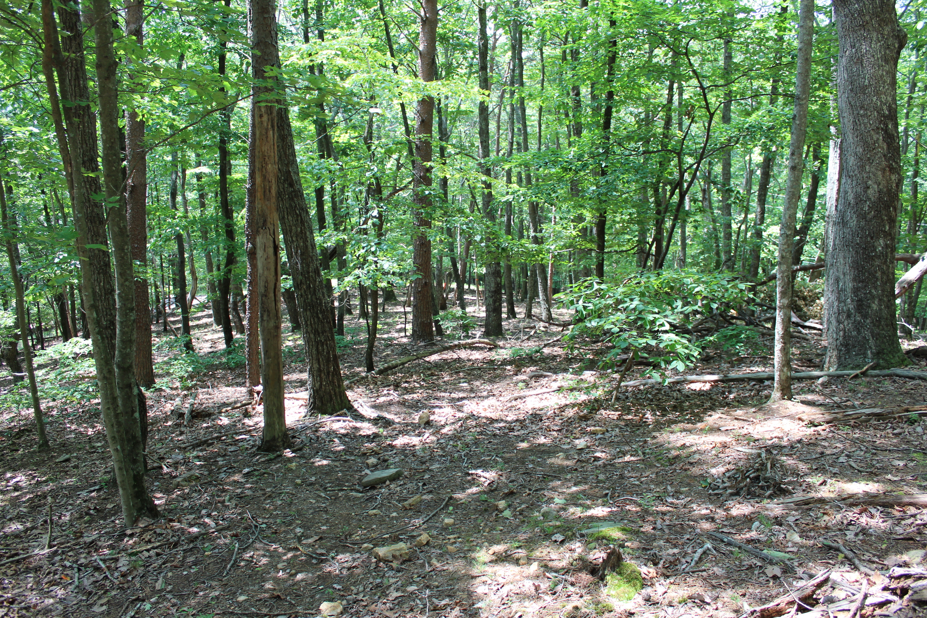 0 Denny Ridge Road Jasper GA 30143