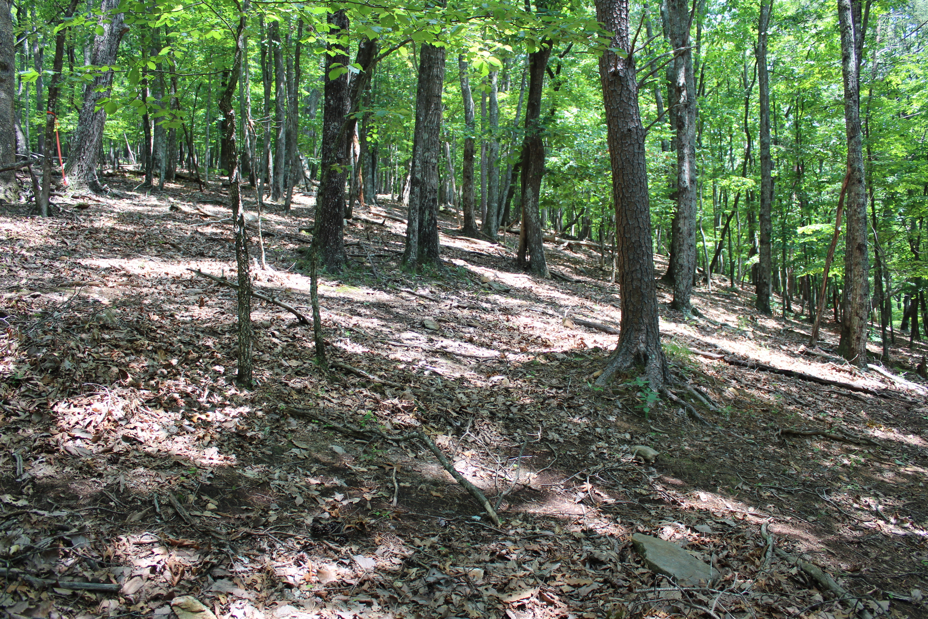 0 Denny Ridge Road Jasper GA 30143
