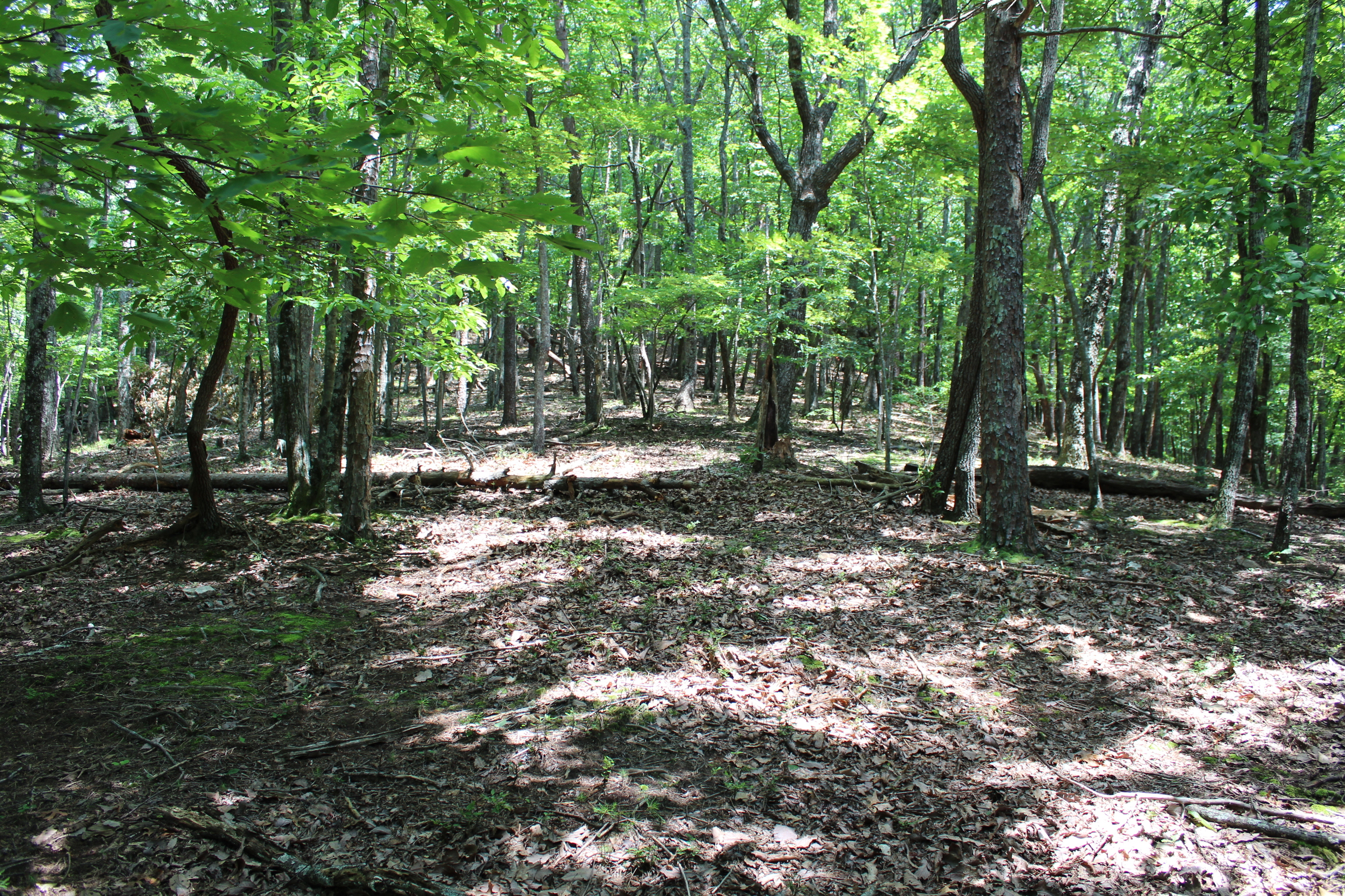 0 Denny Ridge Road Jasper GA 30143