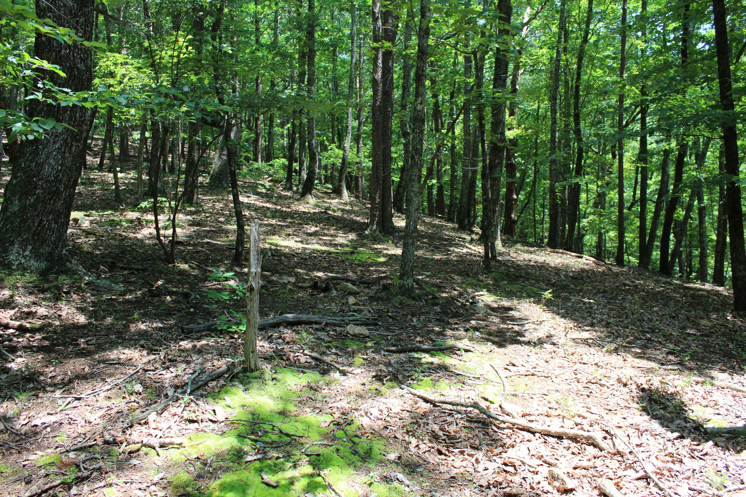 0 Denny Ridge Road Jasper GA 30143