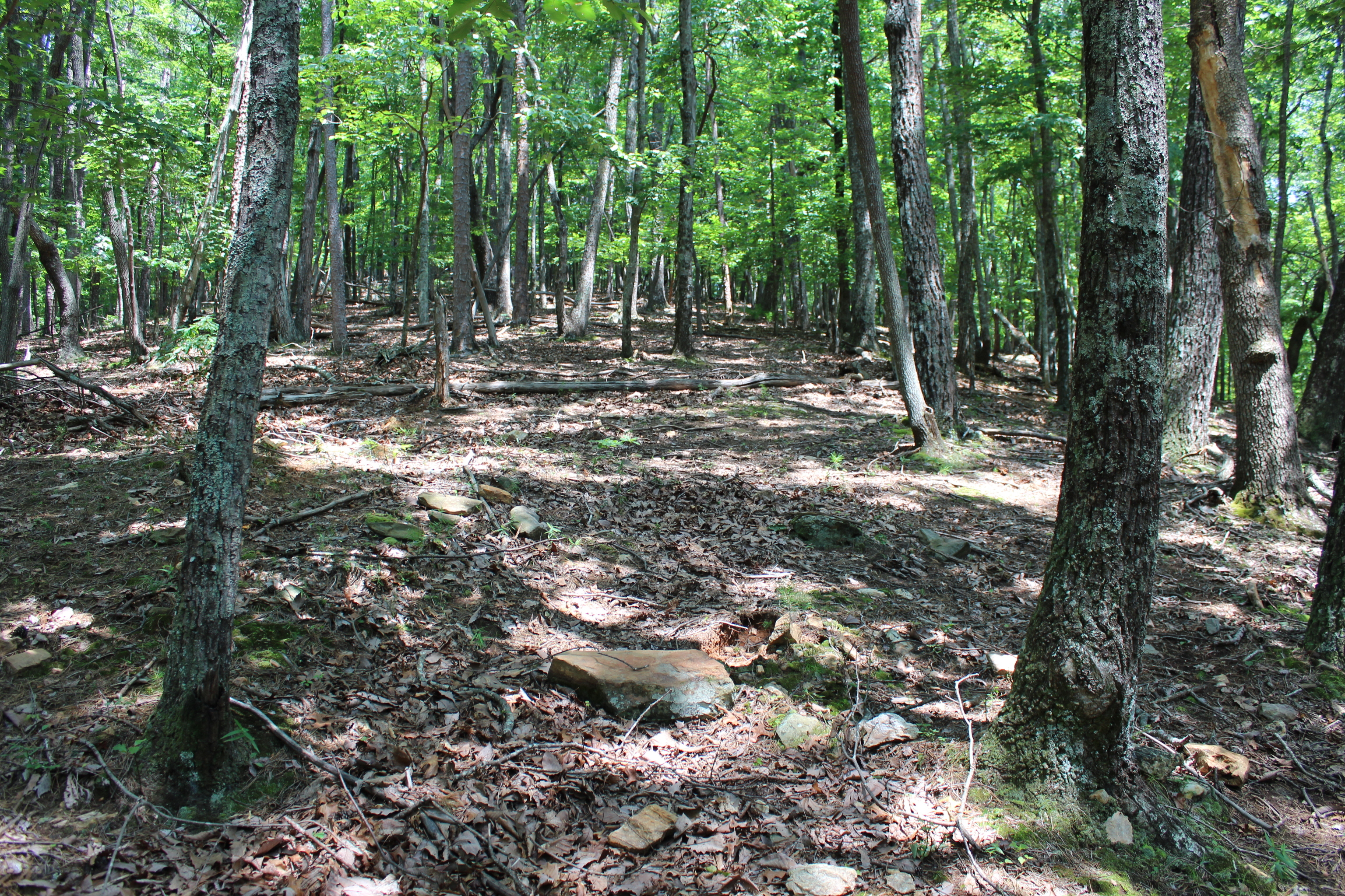 0 Denny Ridge Road Jasper GA 30143