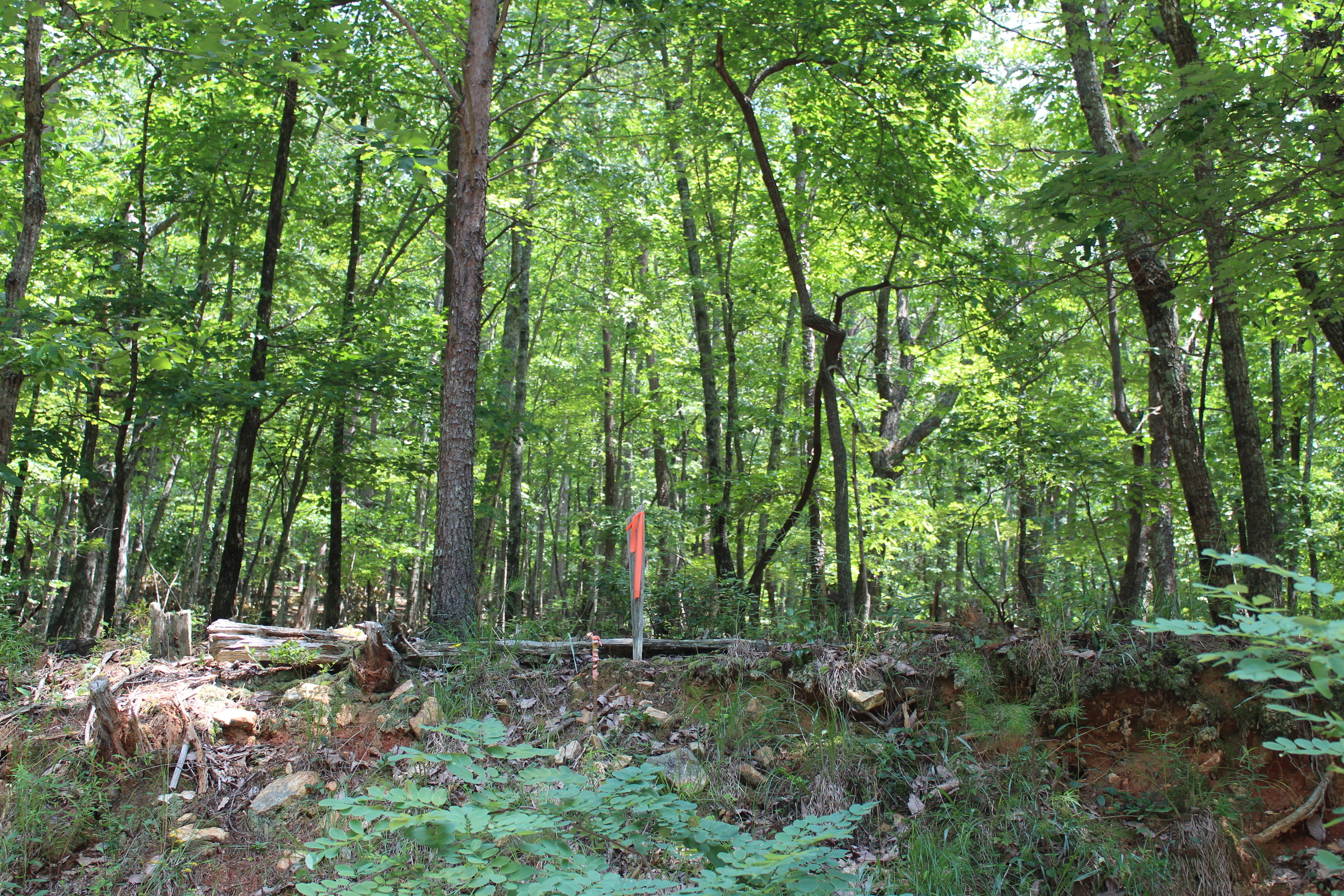 0 Denny Ridge Road Jasper GA 30143