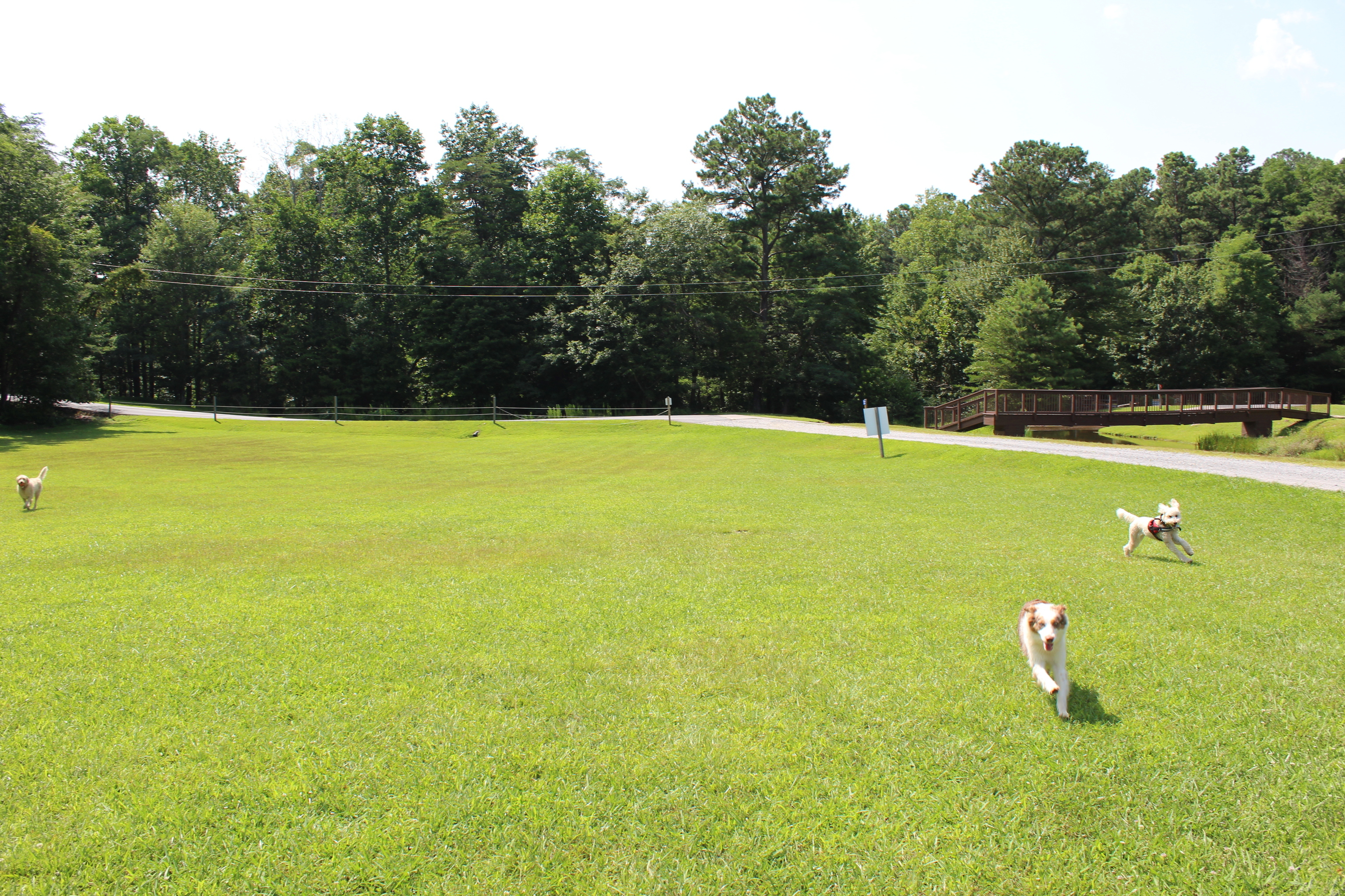 0 Denny Ridge Road Jasper GA 30143