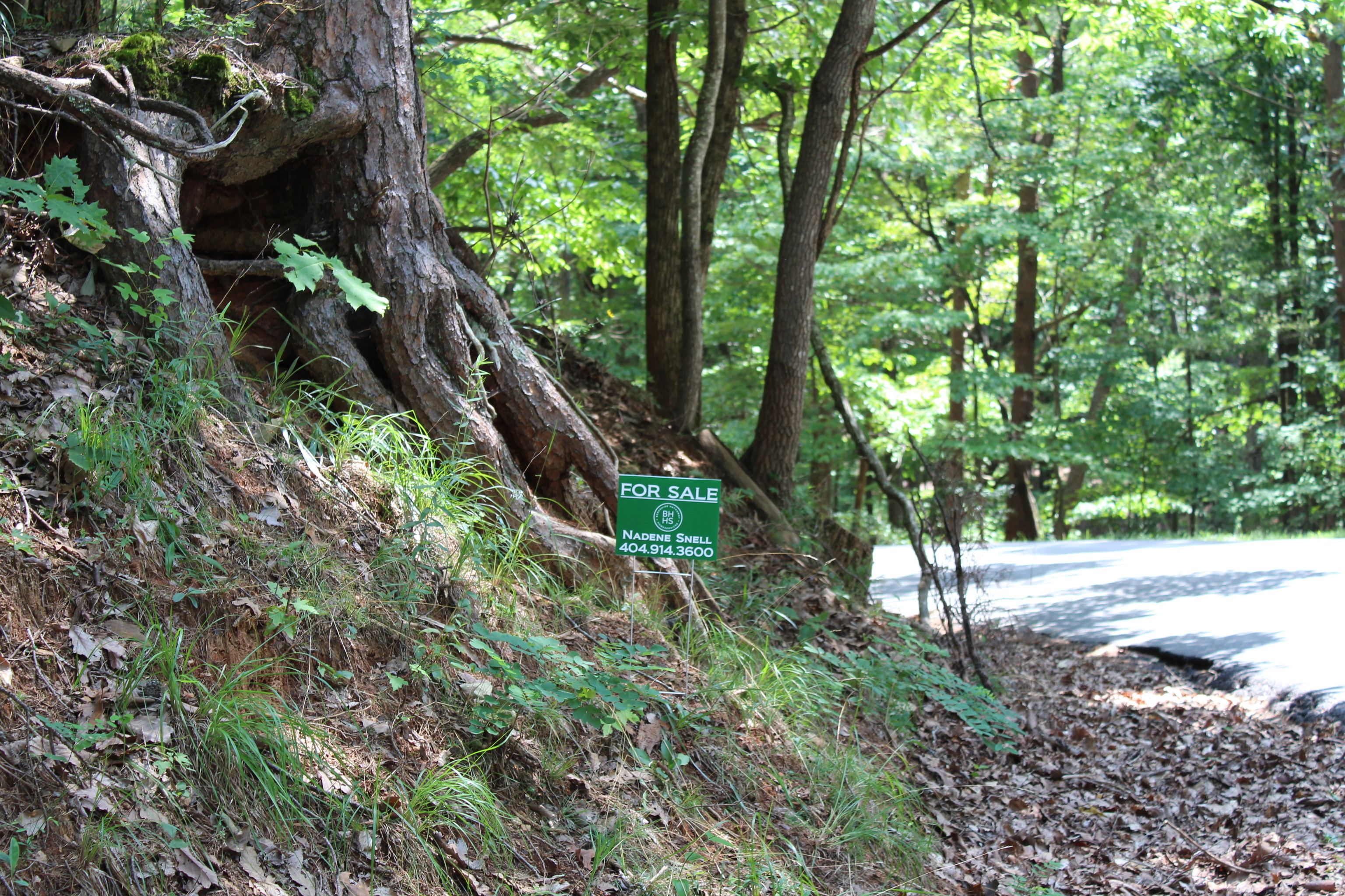 0 Denny Ridge Road Jasper GA 30143
