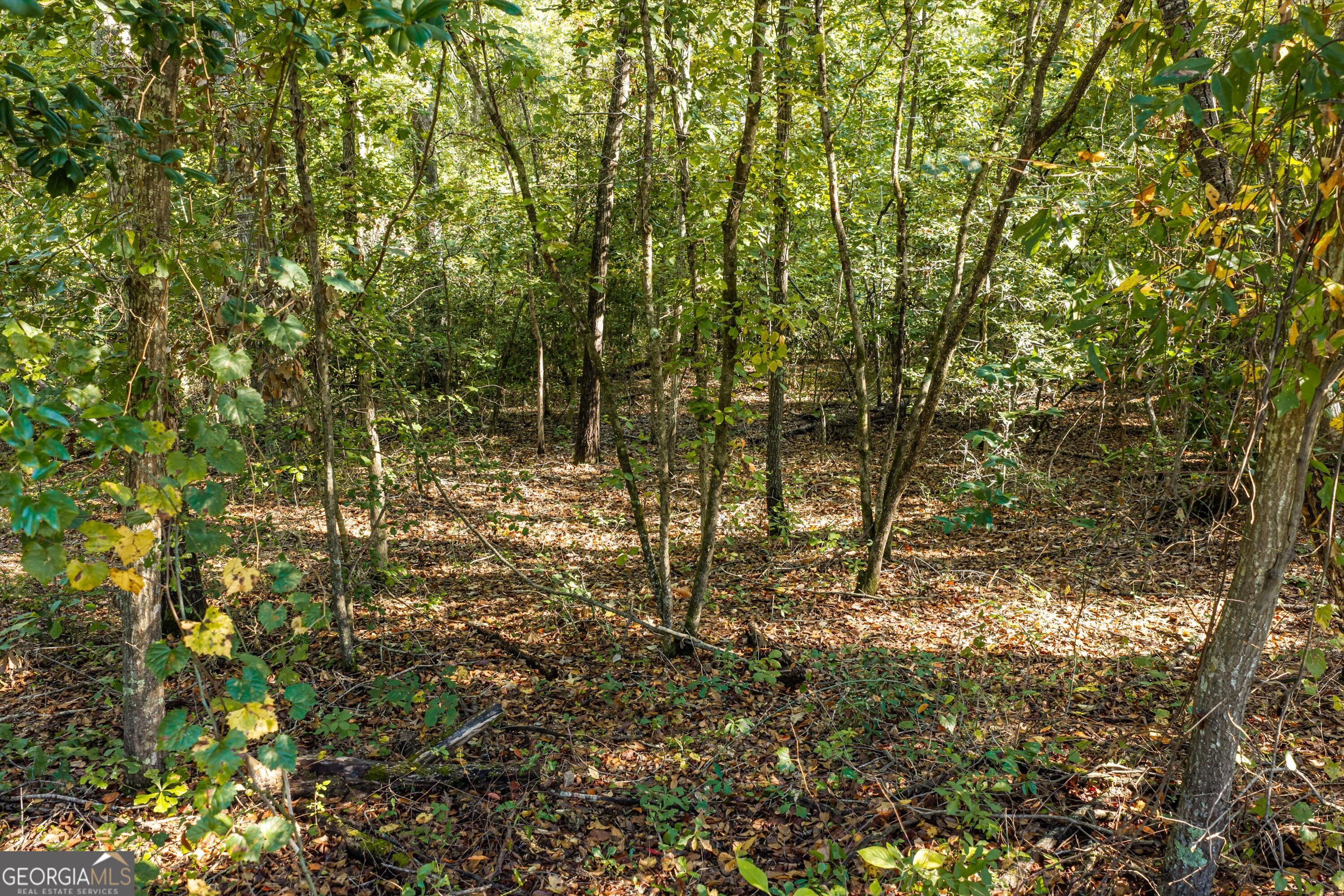 0 Corley Road Hephzibah GA 30815