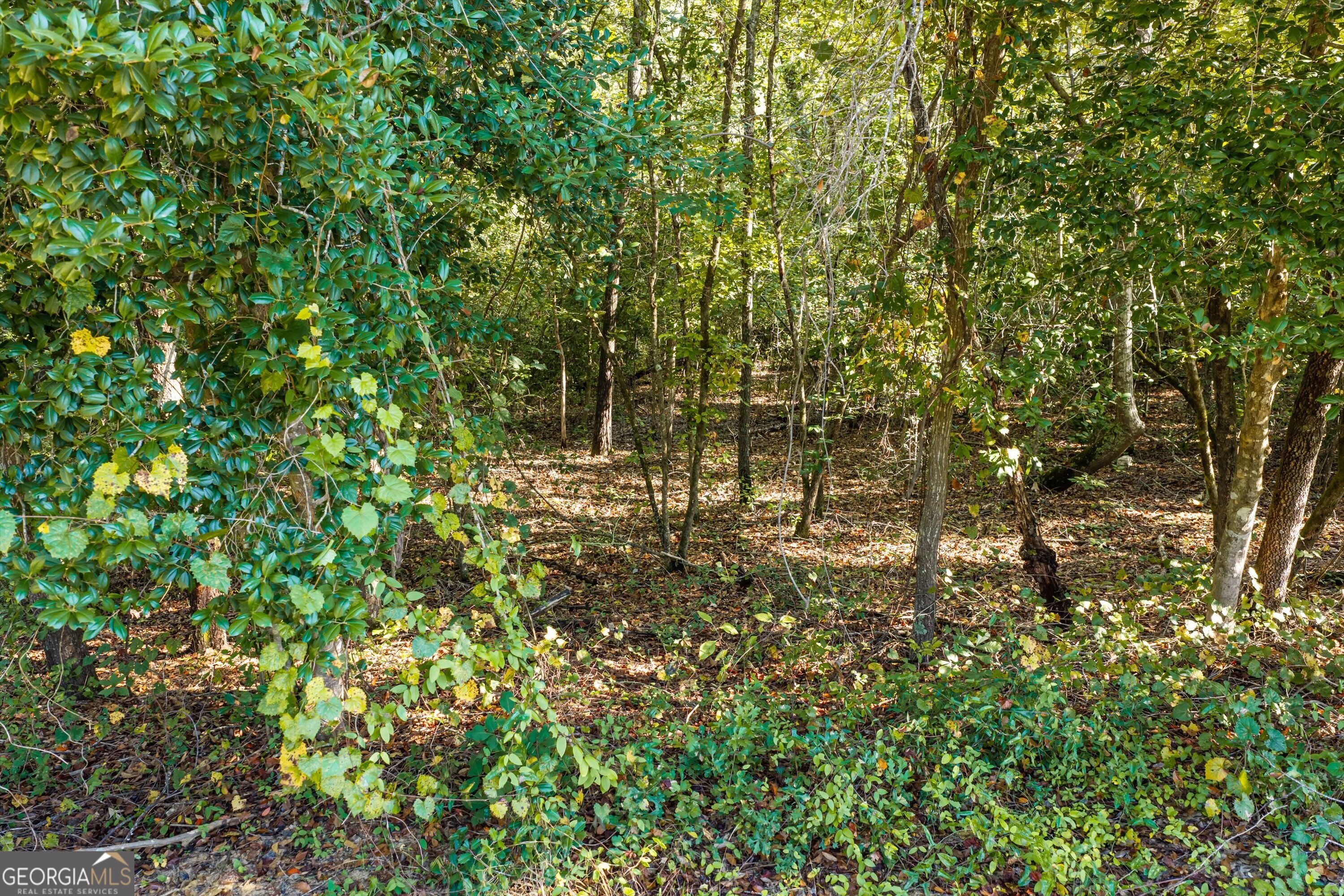 0 Corley Road Hephzibah GA 30815