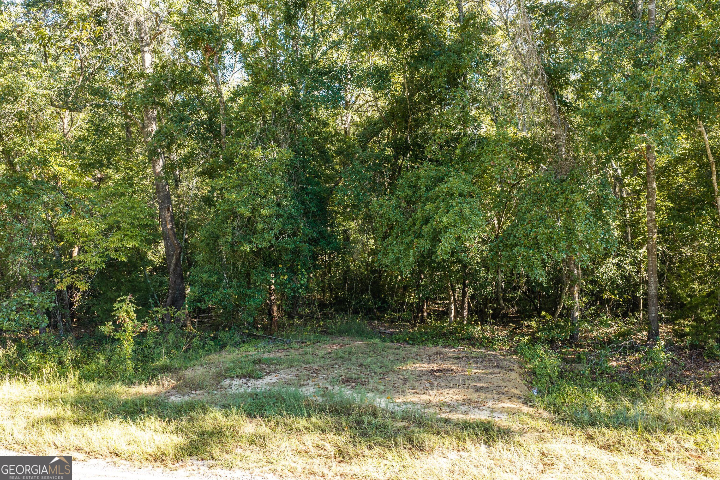 0 Corley Road Hephzibah GA 30815