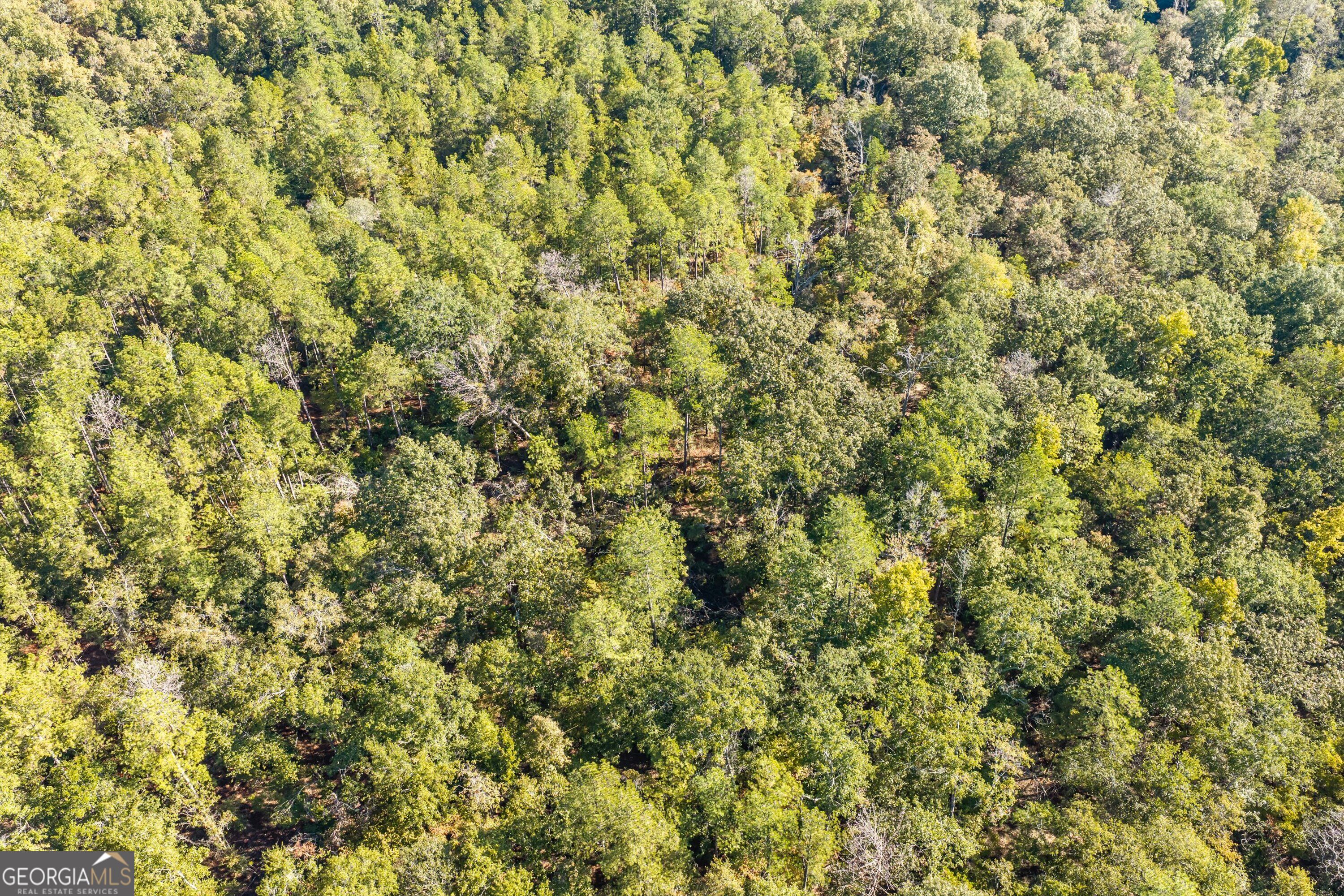 0 Corley Road Hephzibah GA 30815