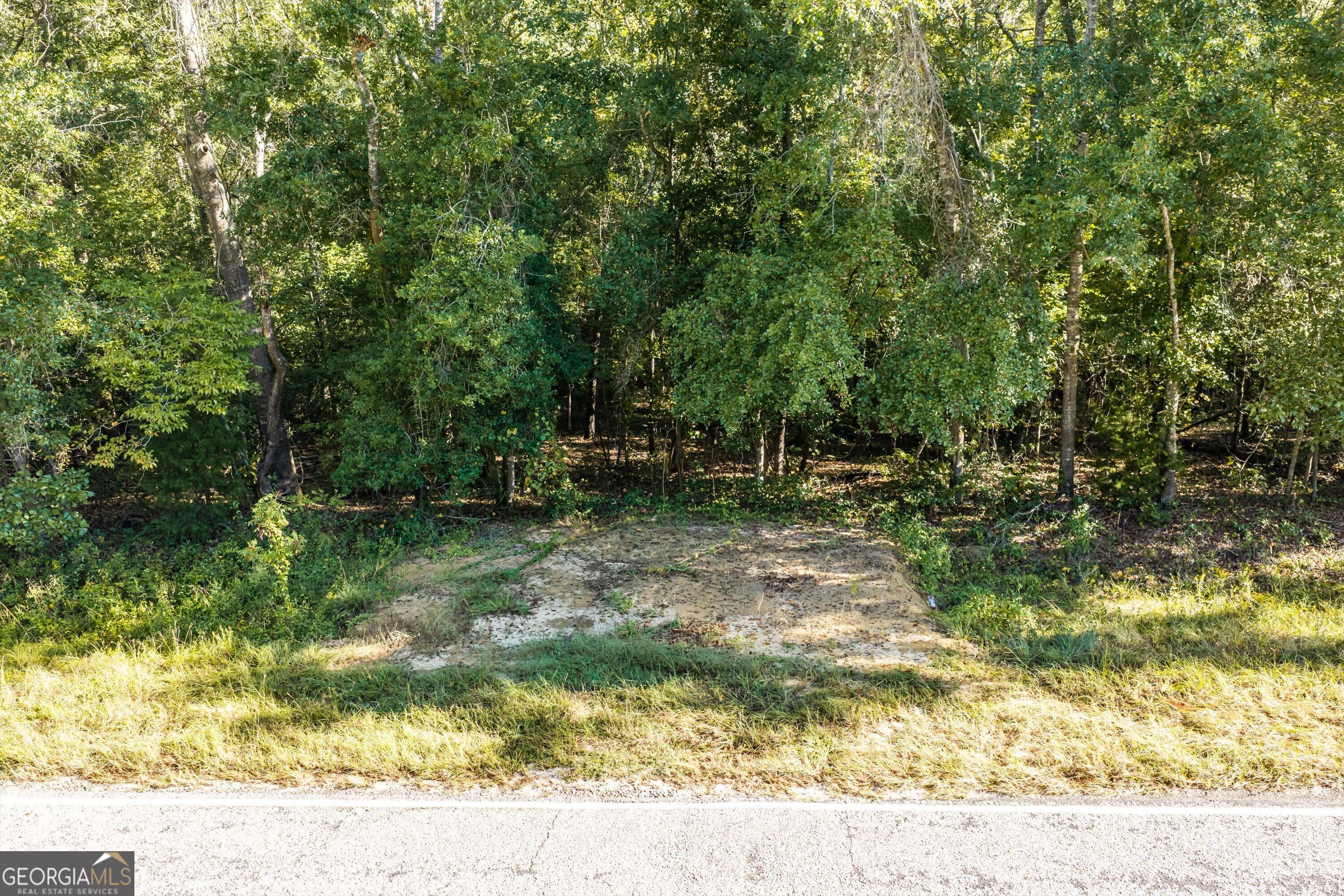 0 Corley Road Hephzibah GA 30815