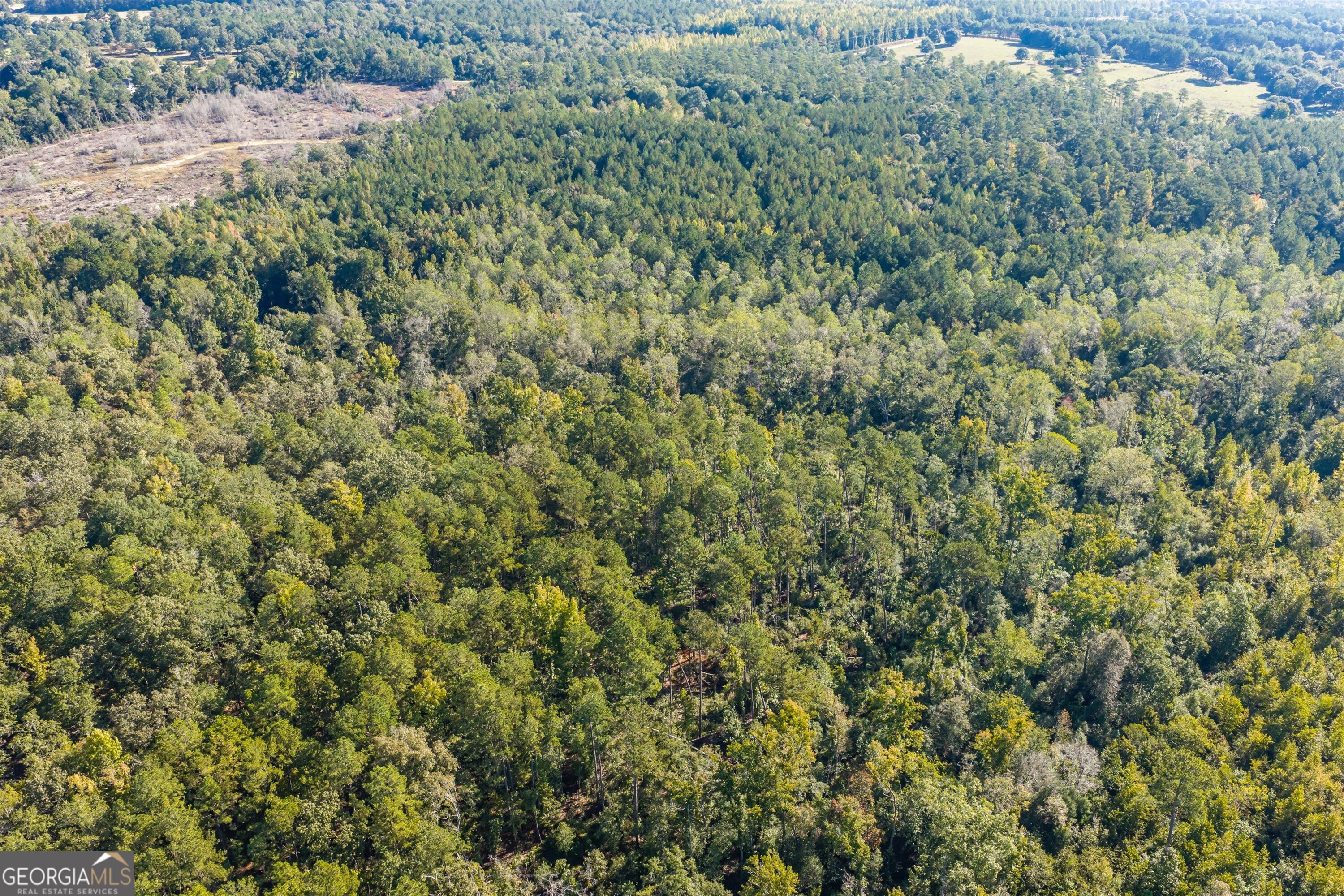 0 Corley Road Hephzibah GA 30815