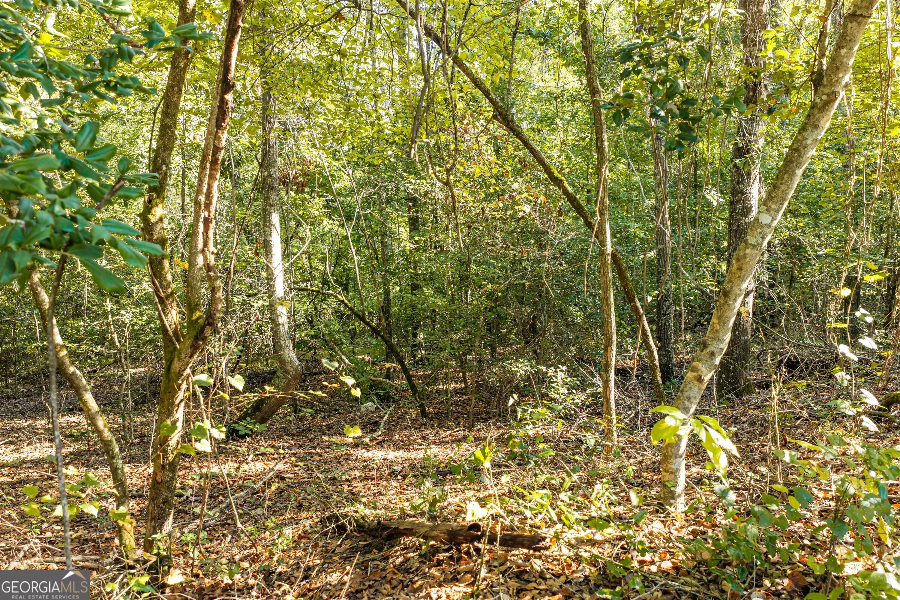 0 Corley Road Hephzibah GA 30815